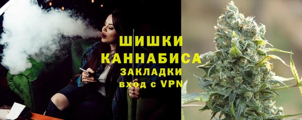 mix Богородицк