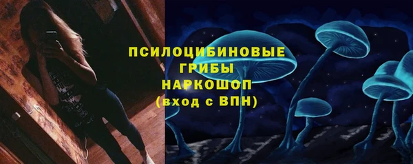 Альфа ПВП Бородино