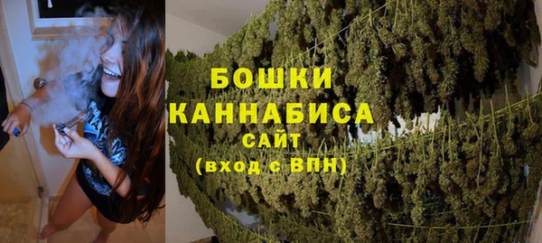 прущие грибы Богородск