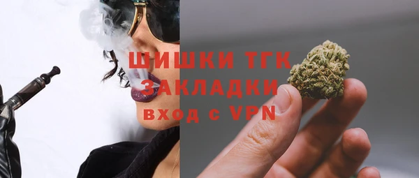 ешки Бронницы