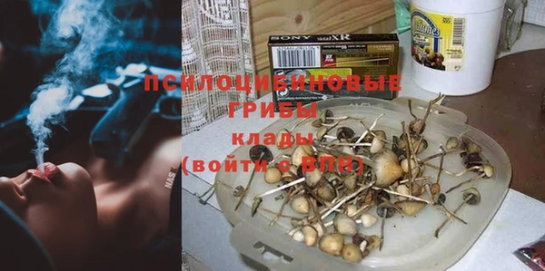 mix Богородицк