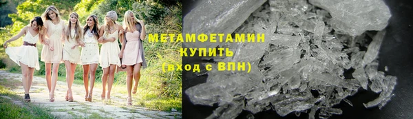 прущие грибы Богородск