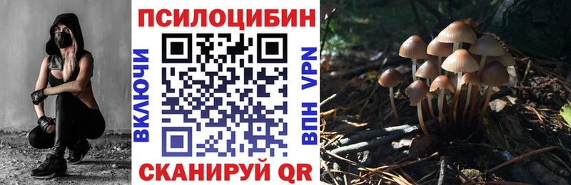 блэк спрут ССЫЛКА  Жуковский  Псилоцибиновые грибы Psilocybine cubensis 